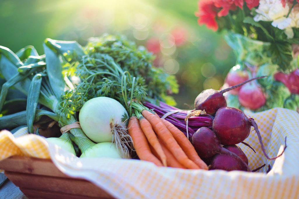 Why Buying Organic Food Is The Safest Choice For You | Euro-American Connections & Homecare