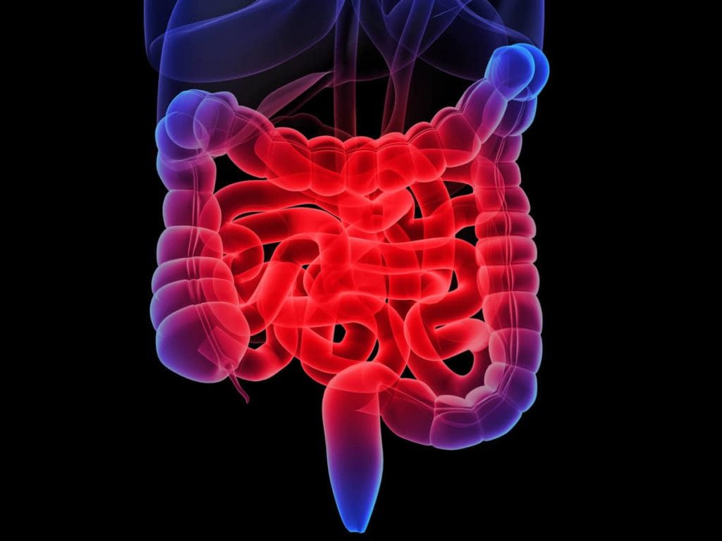 The Invisible Disability: What You Need to Know About IBD | Euro-American Connections & Homecare